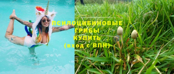 spice Алексеевка